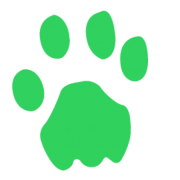 Animaux Santé