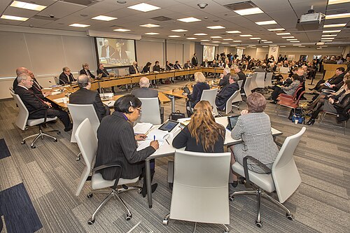 Management